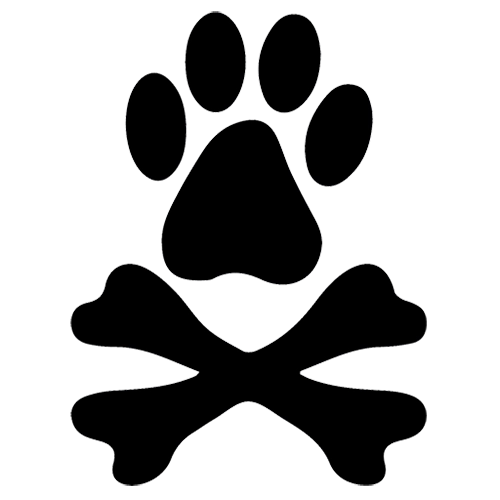 Bone Doggie and the Denton Music Collective